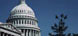U. S. Capitol