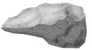 biface tool